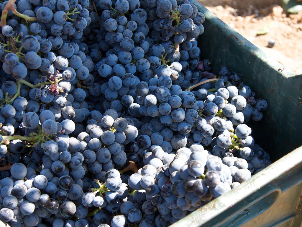 Encuentro Guadalupe 호텔 외부 사진
