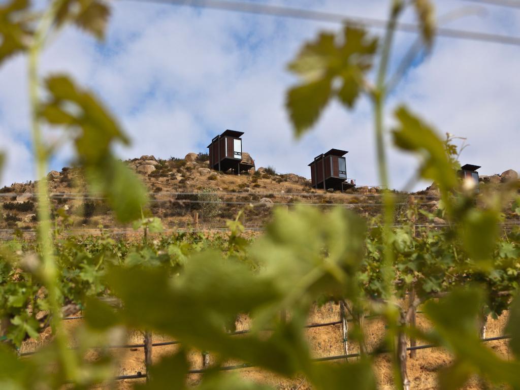 Encuentro Guadalupe 호텔 외부 사진